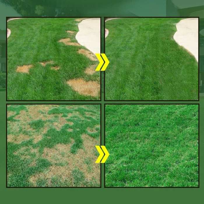 GreenRevive HydroSeeding Lawn Solution
