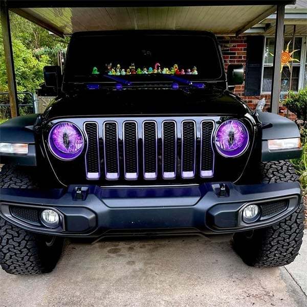 Beast Eyes Headlight Decals (1 Pair)