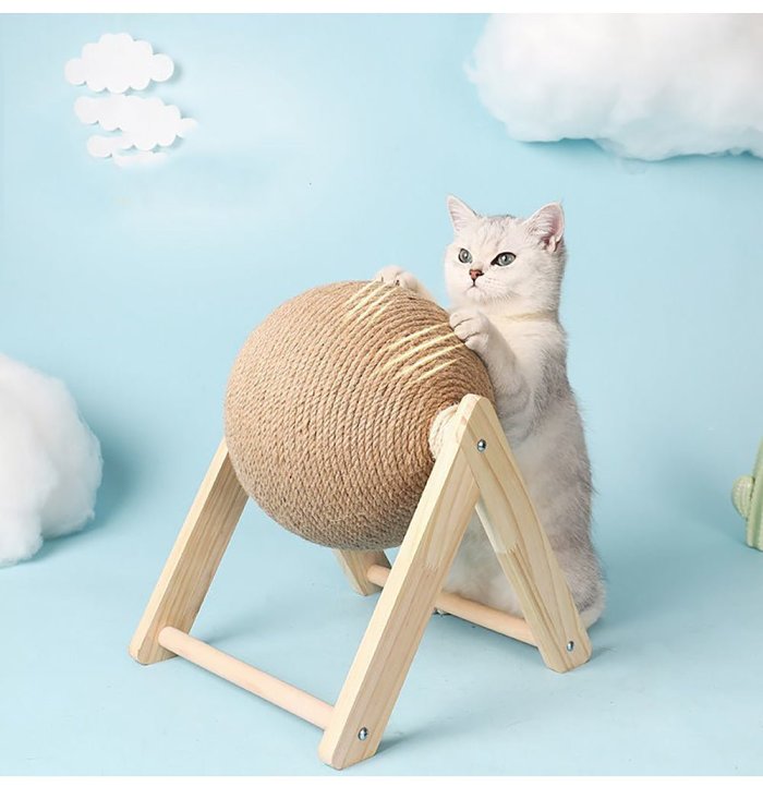 Multifunctional Cat Toy