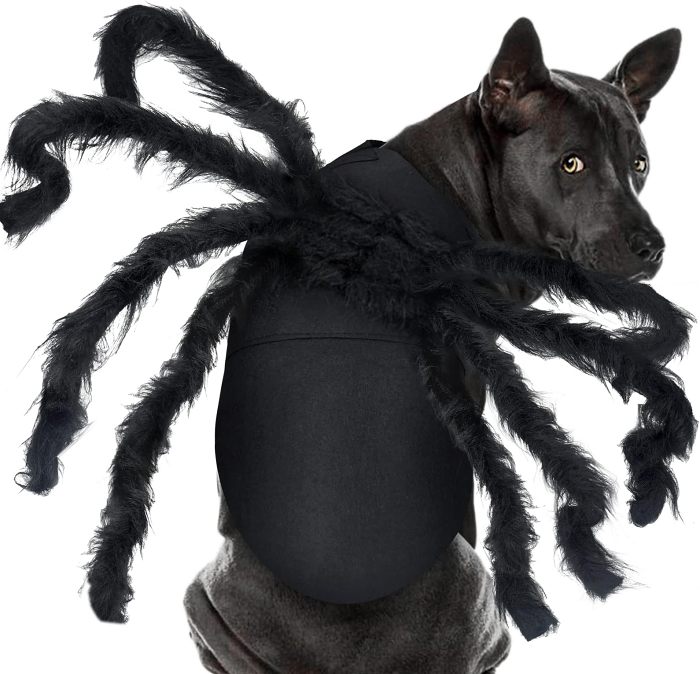 2024 Halloween Pet Spider Costume Props