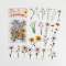 Daisy Blossom (40pc)