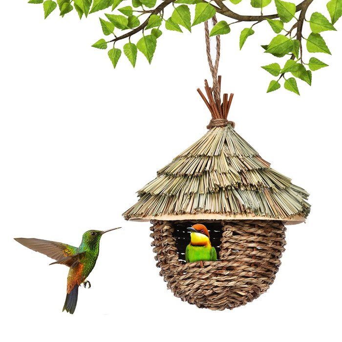 Hot SaleFowl Oasis-Tailor-made Woodworked Aviary