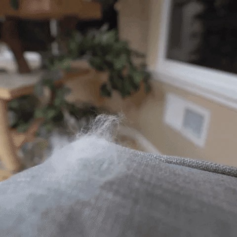 CatCare Spa Brush