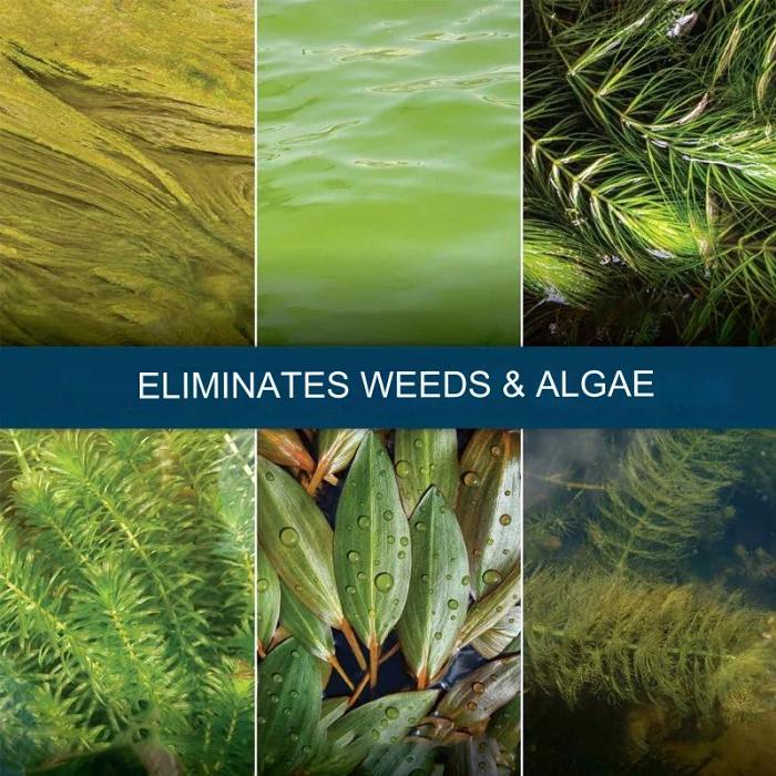 Non-toxic algaecide for aquariums
