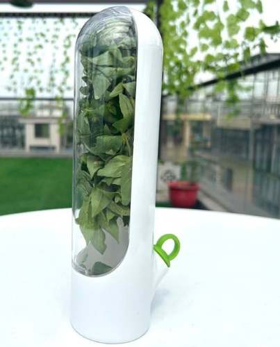 Fresh vegetable storage box——	(Buy 2 free shipping)