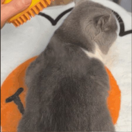 CatCare Spa Brush