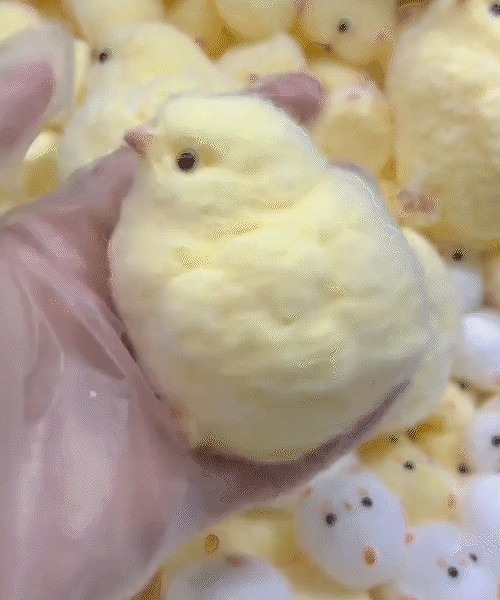 Squishy Chicken Toy - Buy 3 Get 1 Free