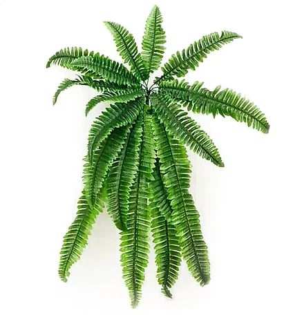 UV Resistant Lifelike Artificial Boston Fern