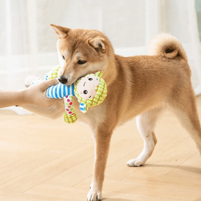 Squeaky Plush Toy