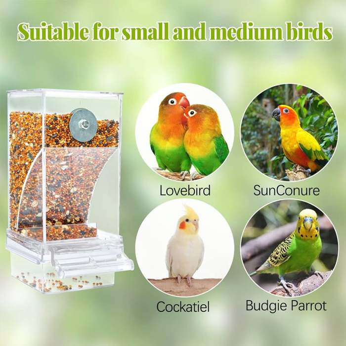 FATHER'S DAY SALE - No Mess Automatic Bird Feeder