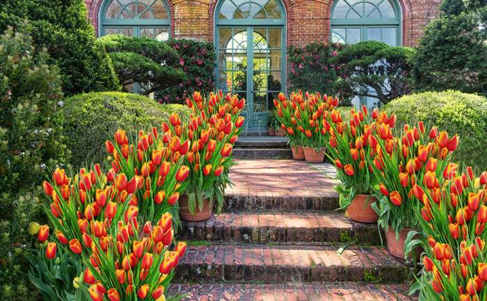 Outdoor Artificial Tulips Flowers