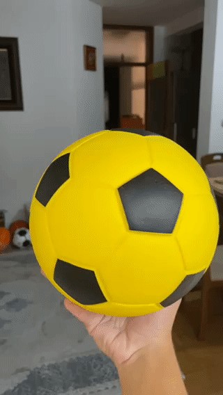 The Handleshh Silent  Basketball / Football