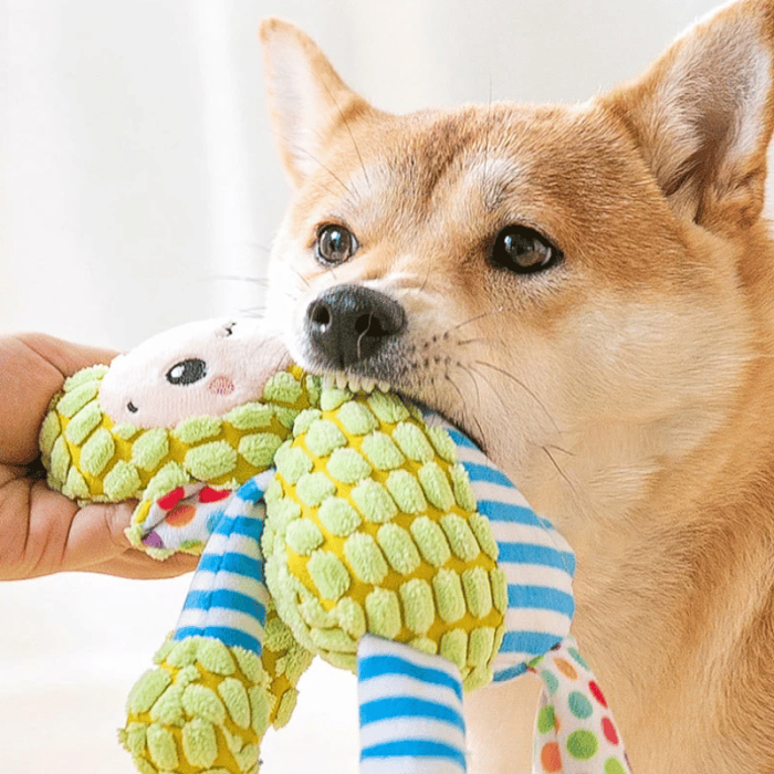Squeaky Plush Toy