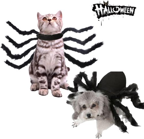 2024 Halloween Pet Spider Costume Props