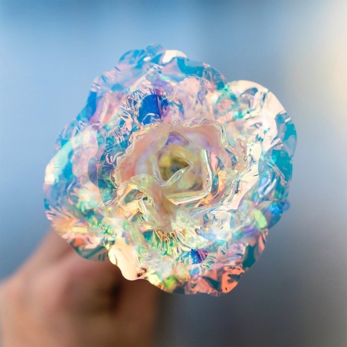 Love Day Rose