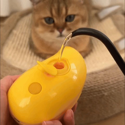 CatCare Spa Brush