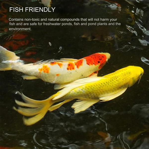 Non-toxic algaecide for aquariums
