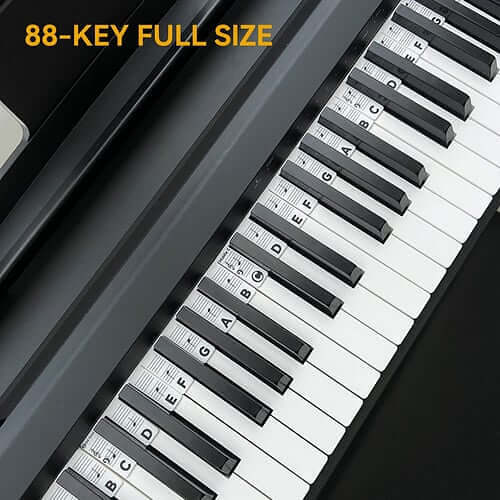 Removable Piano Keyboard Note Labels