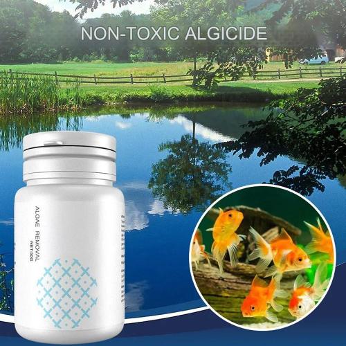 Non-toxic algaecide for aquariums