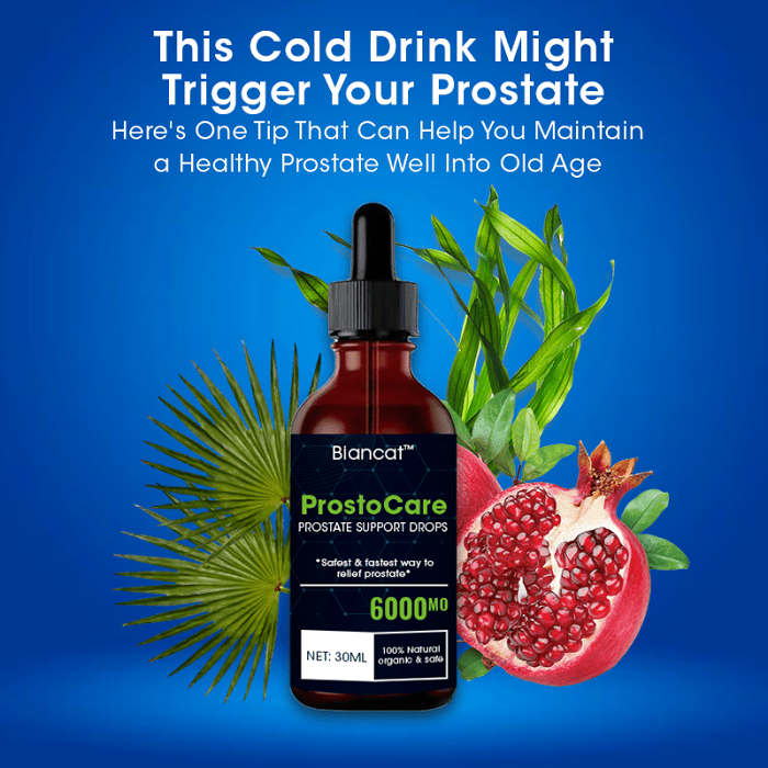 Biancat ProstoCare Prostate Support Drops