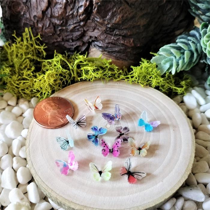 Micro Miniature Butterflies