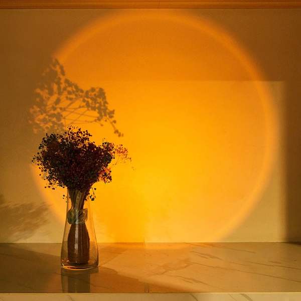Pat light LED Pro