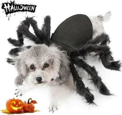 2024 Halloween Pet Spider Costume Props