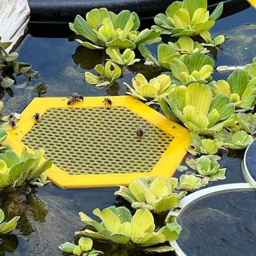 Buy More Save More - Floating Bee Island-Bee Waterer