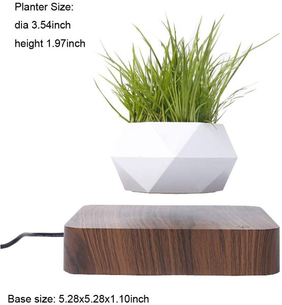Magnetic Floating Levitating Plant Pot for Plants with Oak Wood Base