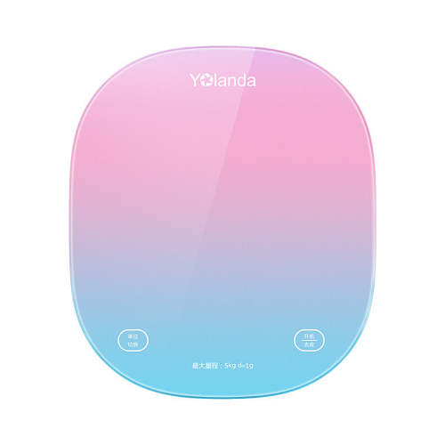 Smart Food Scale