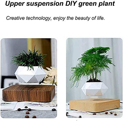 Magnetic Floating Levitating Plant Pot for Plants with Oak Wood Base
