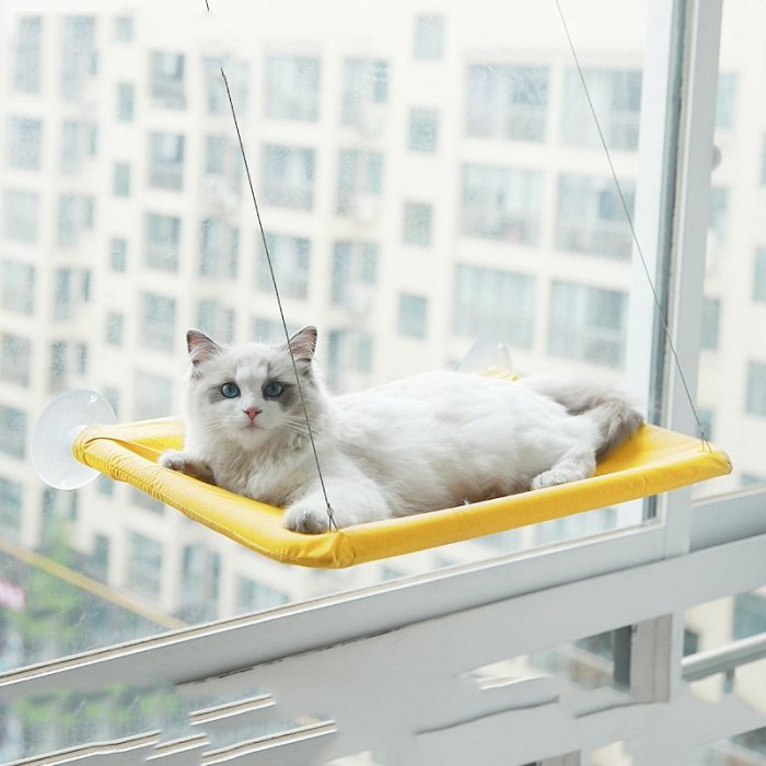 The Kitty Hammock