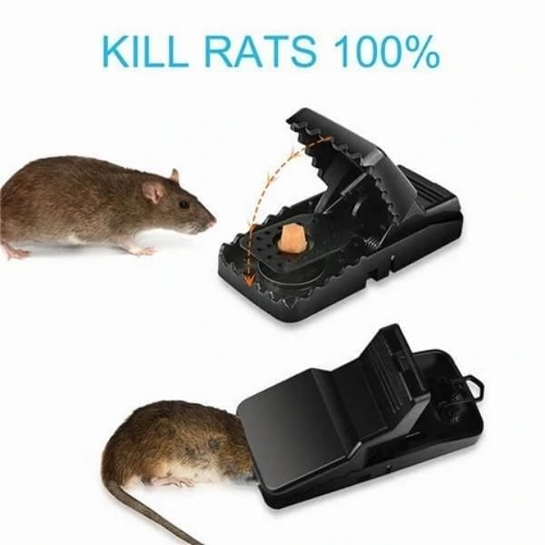 Reusable Plastic Magic Mousetrap