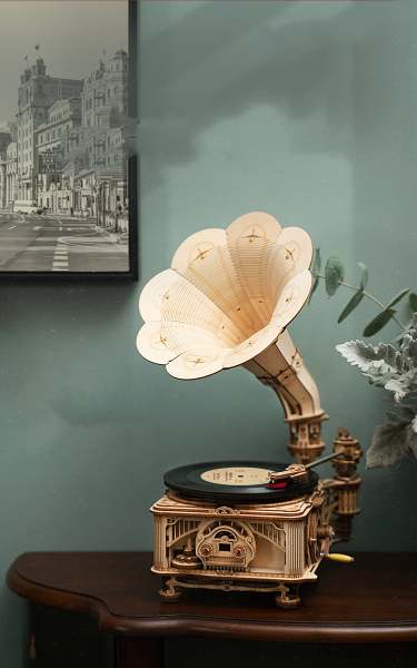 Retro Vinyl Record Decor