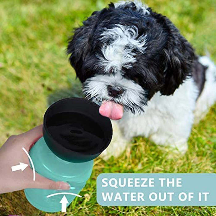 Dog water bottle