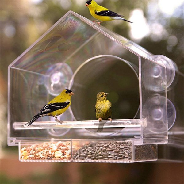 Clear Window Mount Window Bird Feeder