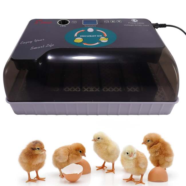 12 Eggs Egg Incubator Fully Automatic Incubator Digital Poultry Hatcher Egg Turning Temp Control with LED Candling Lamp