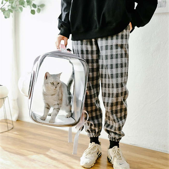 Large Pet Backpack Portable Space Capsule Breathable Window Cat Carrier
