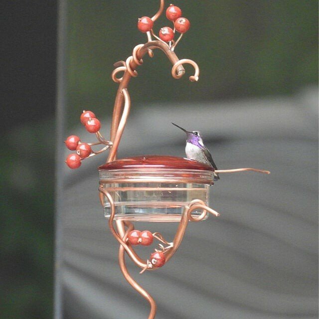 Red Berries Hummingbird Feeder