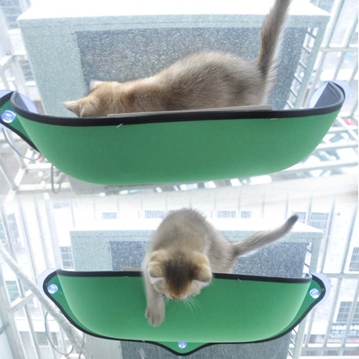 Cat Hammock