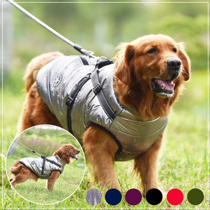 Pet Waterproof Winter Warm Dog Jacket With Harness