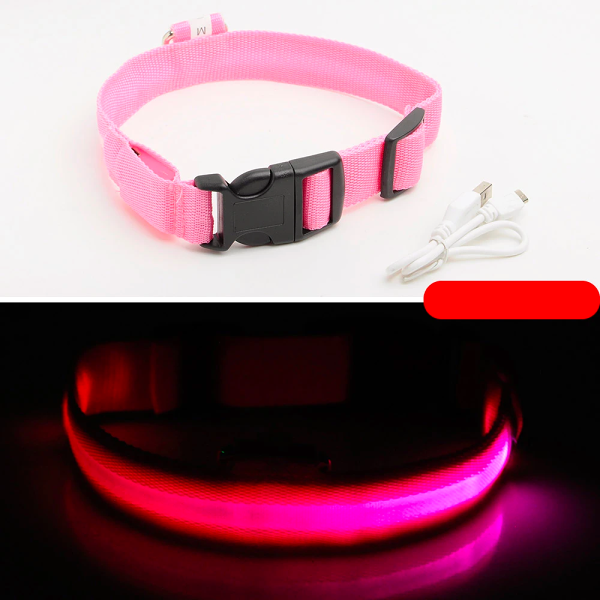 Ziggy LED Dog Collar - USB Rechargeable - Glow In Dark