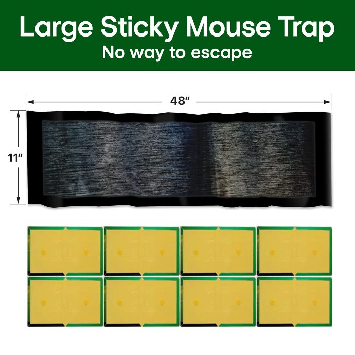 Large Sticky Mouse Trap - No Way To Escape