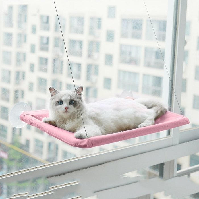 The Kitty Hammock