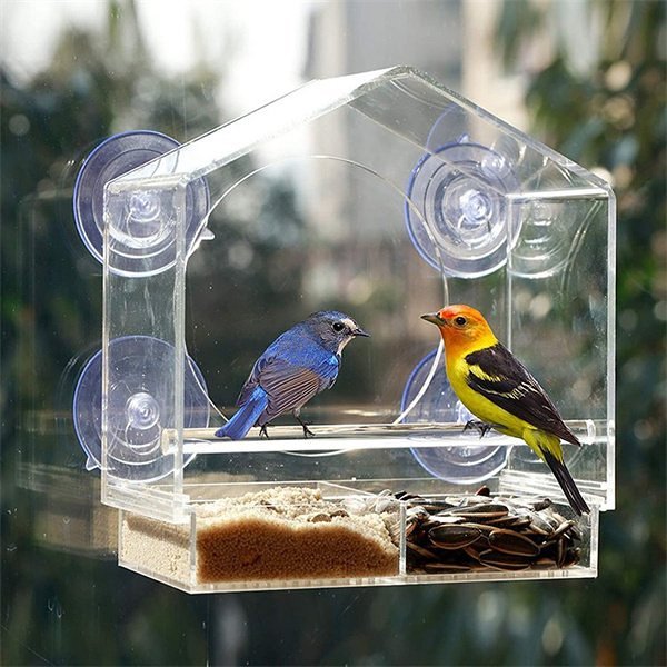 Clear Window Mount Window Bird Feeder