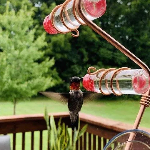 Modern 3 Station Window Hummingbird Feeder