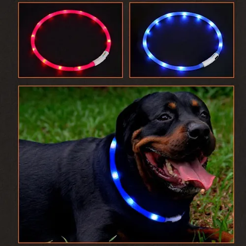 Pet Collar USB Rechargeable Night Safety Illuminated Dog Adjustable Silicone LED Collar