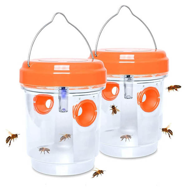 2 Pack Solar Wasp Traps