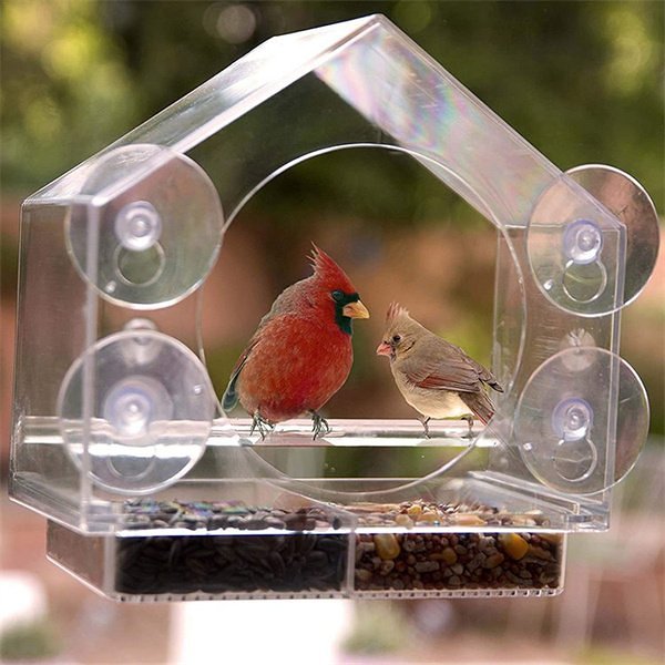Clear Window Mount Window Bird Feeder