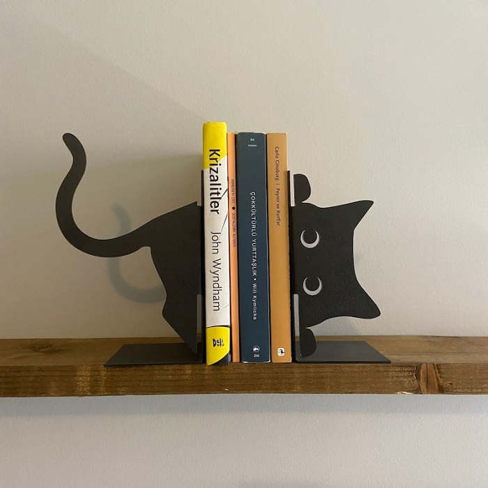 New Indoor Bookshelf Decor.